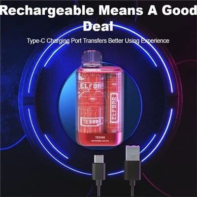 Elfbar Te5000 Vapeig