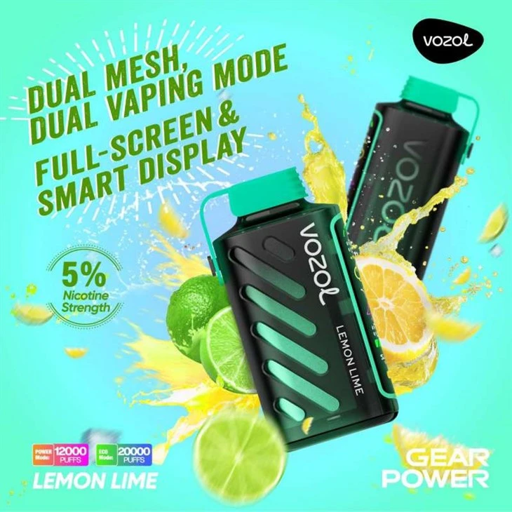 VOZOL GEAR POWER 20000
