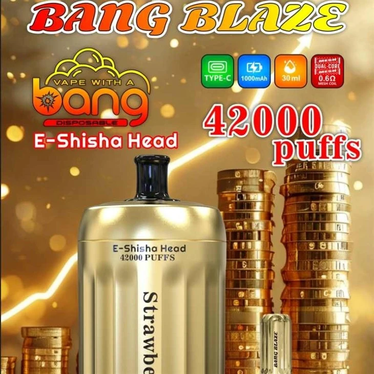 BANG BLAZE E-Shisha Head 42K Puffs factory