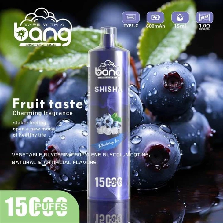 bang SHISHA 15000puffs vape