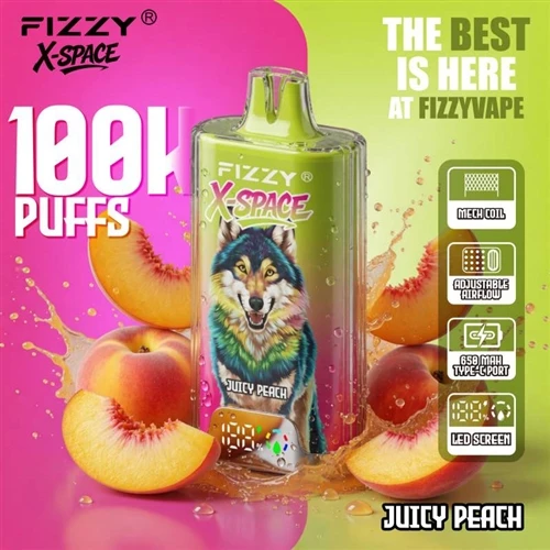 Fizzy X Space 100K: observacions sobre la tendència dels vaporitzadors d'un s...