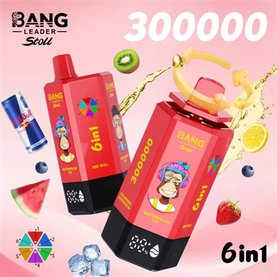 Bang Leader 300000 Puffs Vape