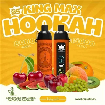 BS King Max Hookah 15000