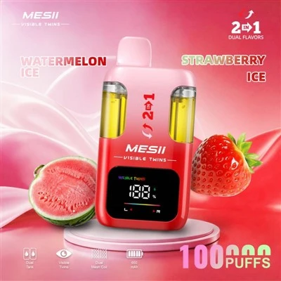 MESII BESSONS VISIBLE 100K