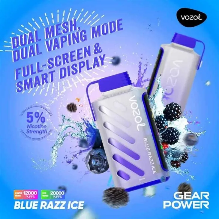 VOZOL GEAR POWER 20000 22